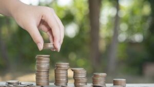 diferencia pension contributiva y no contributiva