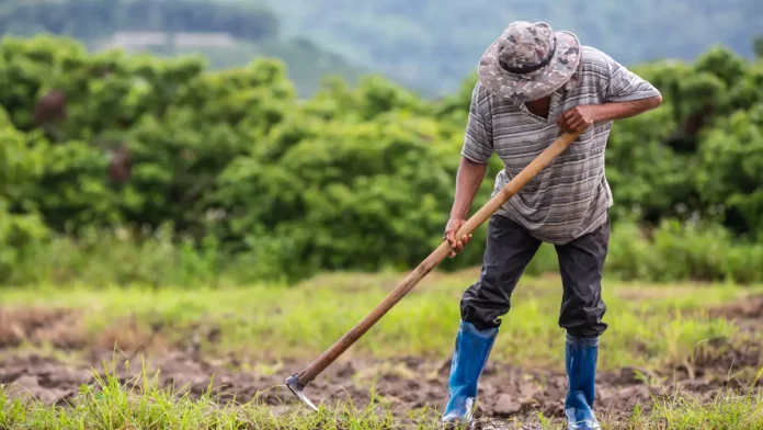 Trabajador del campo