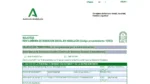 Solicitud Renta Mínima de Inserción Andalucía