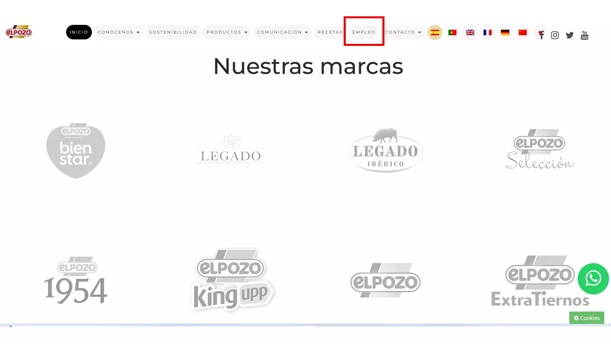 web de empleo el pozo