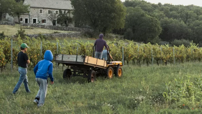 Reducción de peonadas para solicitar el subsidio o renta agraria