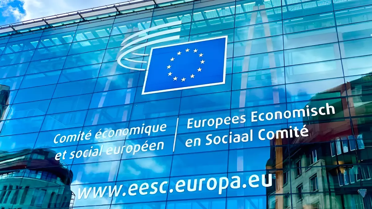Comité Europeo de Derechos Sociales