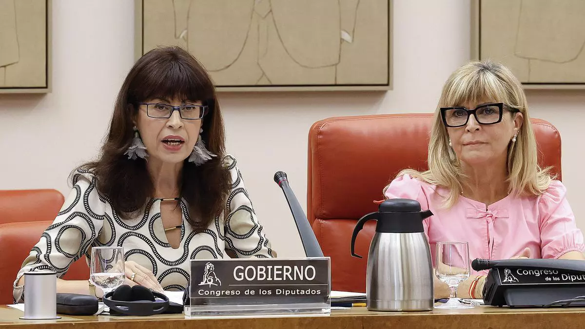 La ministra de Igualdad, Ana Redondo, ante la Comisión de Igualdad del Congreso de los Diputados