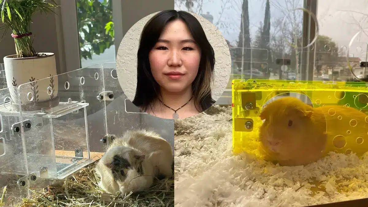 Una joven gana más de 60.000 euros al mes vendiendo jaulas para mascotas por amazon