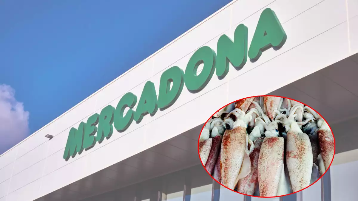 Despido improcedente trabajador Mercadona por pesar un calamar tras limpiarlo para que le saliera mas barato