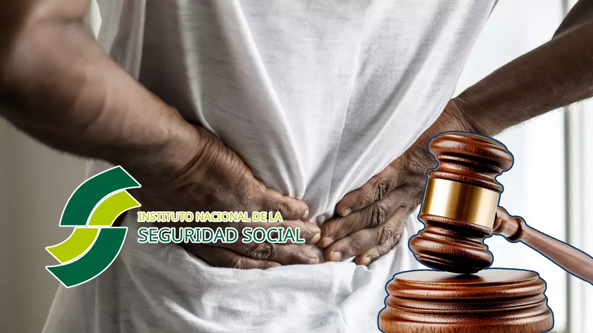 trabajador despedido por ineptitud sobrevenida por sus dolores de espalda consigue ante la justicia su pensión de incapacida permantente total