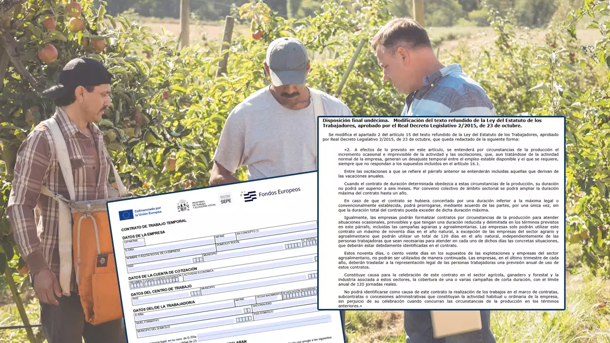 Cambios en el contrato temporal a través de la Ley 1/2025