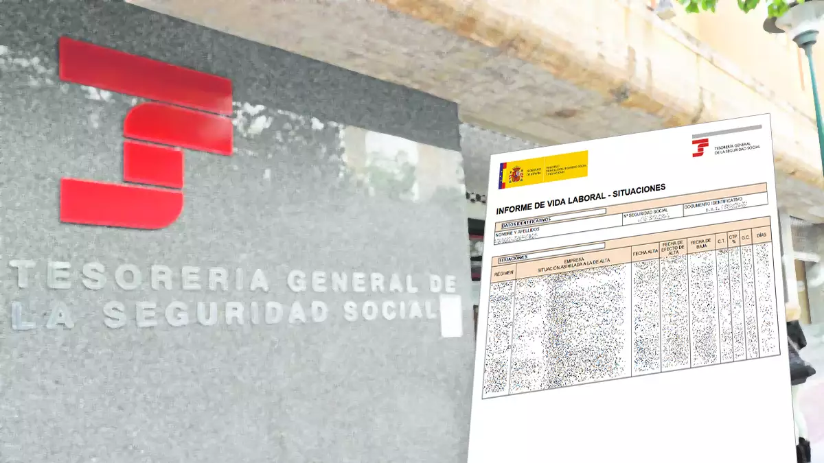Los cuatro tipos de alta en la Seguridad Social