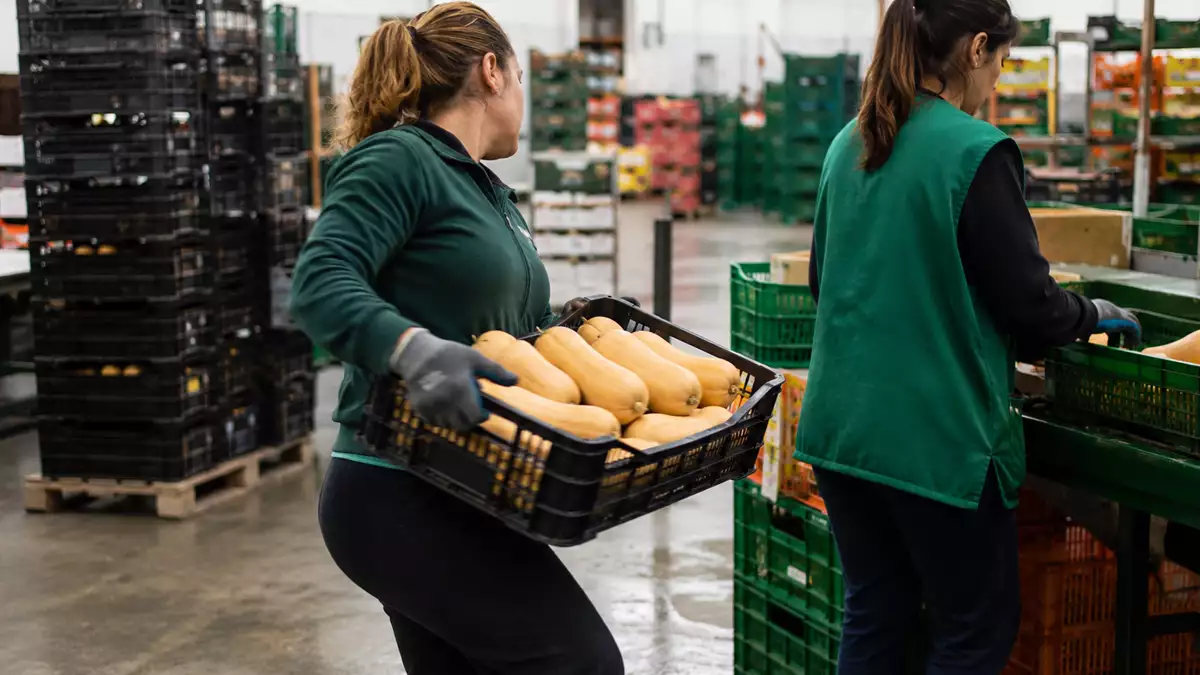 Recreación generada con IA de dos trabajadoras en una empresa hortofrutícola en el momento previo al tropiezo que originó el conflicto laboral