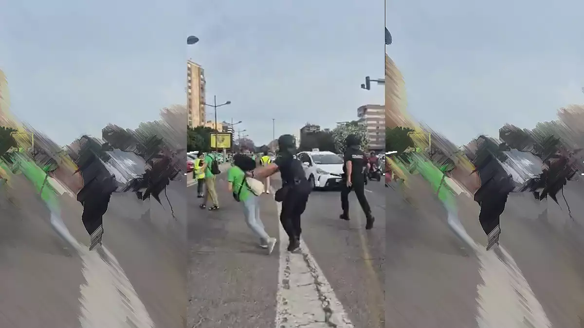 Momento del empujón del Policía Nacional a la profesora en Valencia