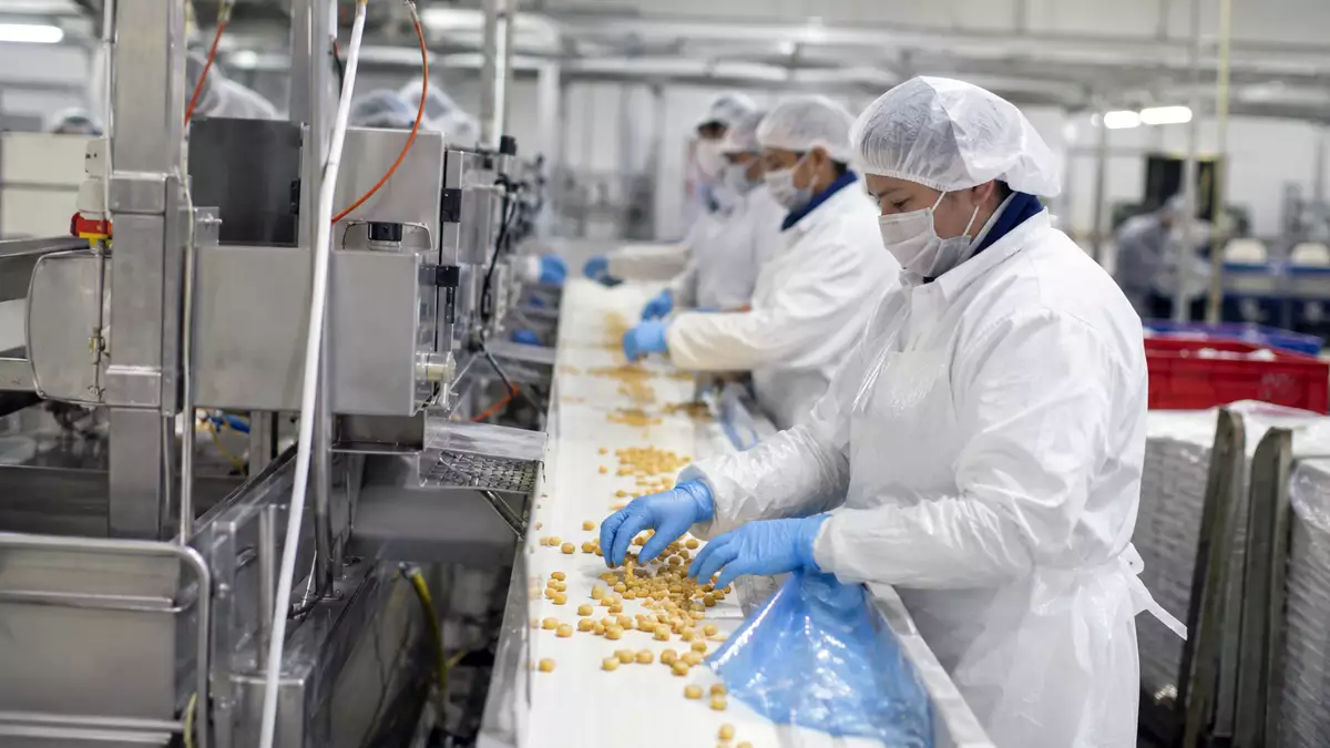 Operarios trabajando en una línea de producción de una industria alimentaria